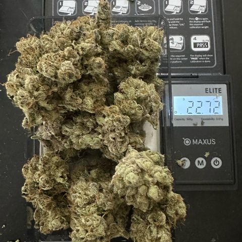 CxLAZ #16 50.72g growlog photo: Moved to bag with Integra packs