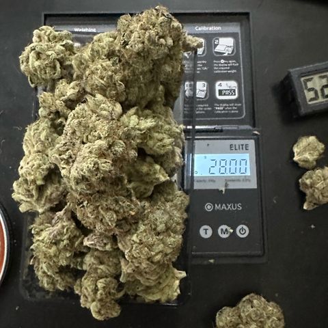 CxLAZ #11 50.28g growlog photo: Moved to bag