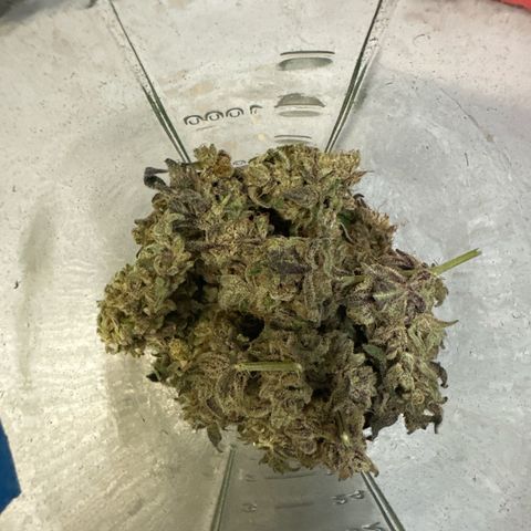 CxLAZ #03 C #1 58.58g growlog timeline photo