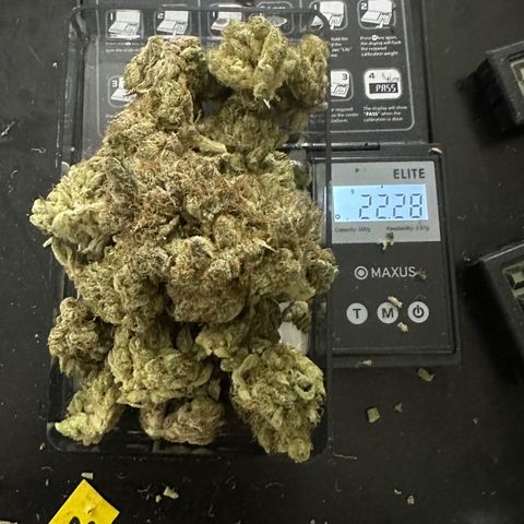 CxLAZ #11 50.28g growlog photo: Moved to bag