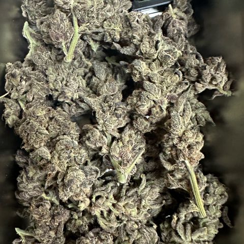 MiscxLAZ #22 C 42.33g growlog timeline photo