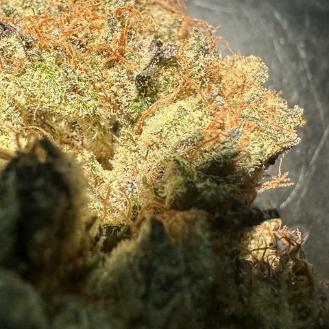 CxLAZ #11 50.28g growlog photo: Moved to bag