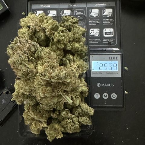 Misc x (LA Kush x Zkittles) #27 33.12g growlog photo: Moved to bag