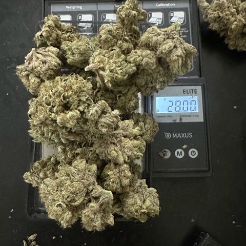 CxLAZ #16 50.72g growlog photo: Moved to bag with Integra packs