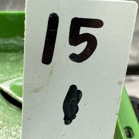 CxLAZ #15 C #1 growlog timeline photo