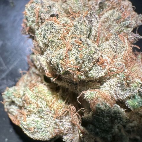 CxLAZ #11 50.28g growlog photo: Moved to bag