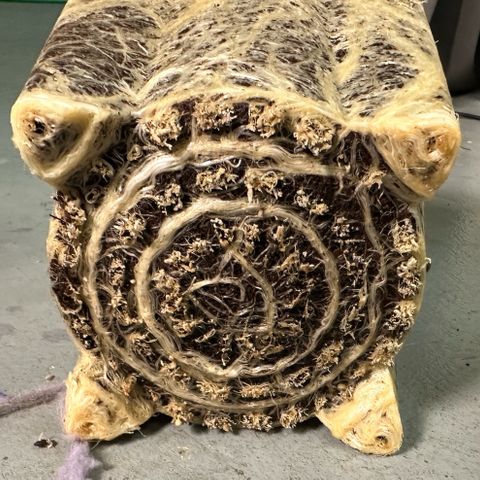 MiscxLAZ #08 C #1 growlog timeline photo