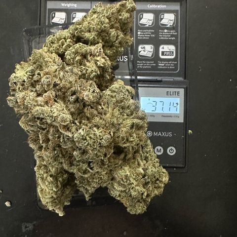 CxLAZ #24 37.13g growlog photo: Moved to bag