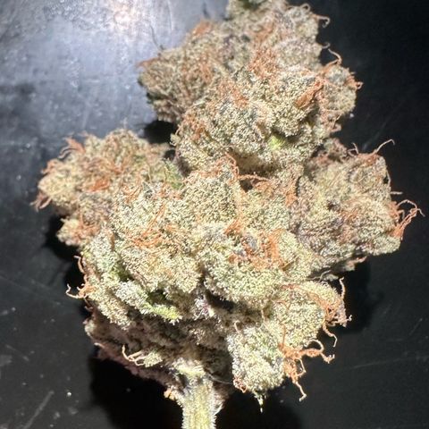 CxLAZ #16 50.72g growlog photo: Moved to bag with Integra packs