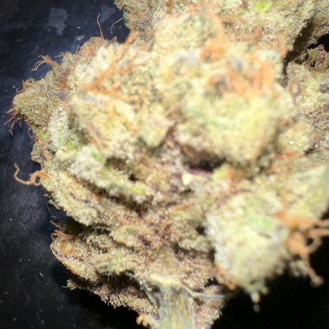 CxLAZ #16 50.72g growlog photo: Moved to bag with Integra packs