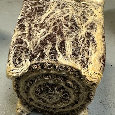 MiscxLAZ #22 C 42.33g growlog timeline photo