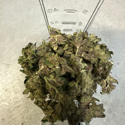 MiscxLAZ 5-4 34.63g growlog timeline photo