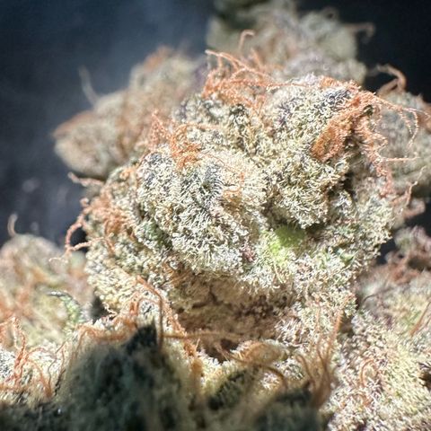 CxLAZ #16 50.72g growlog photo: Moved to bag with Integra packs
