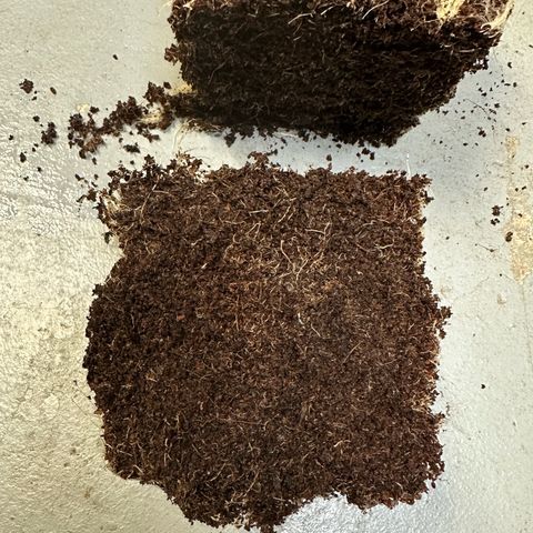 MiscxLAZ #22 C 42.33g growlog timeline photo