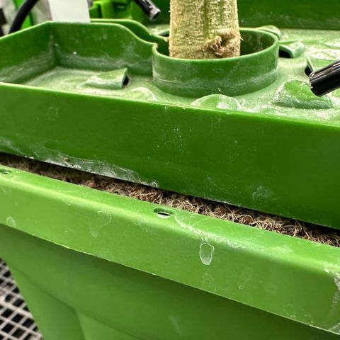 MiscxLAZ #26 C #2 growlog timeline photo