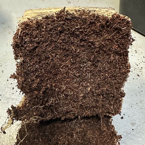 MiscxLAZ #22 C 42.33g growlog timeline photo