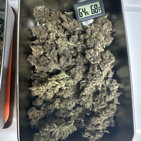 MiscxLAZ #22 C 42.33g growlog timeline photo