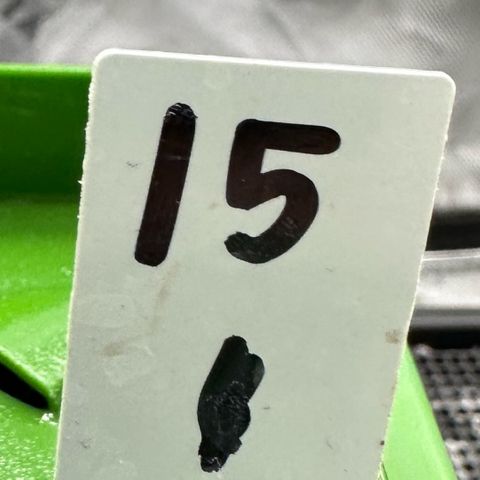 CxLAZ #15 C #1 growlog timeline photo