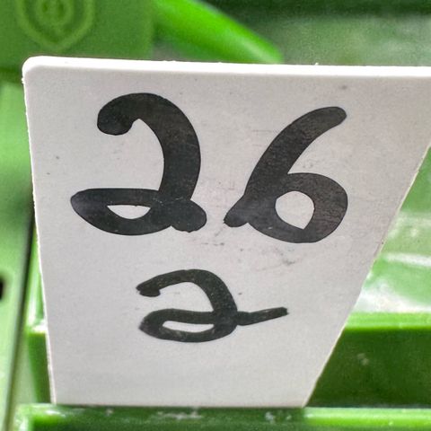 MiscxLAZ #26 C #2 growlog timeline photo