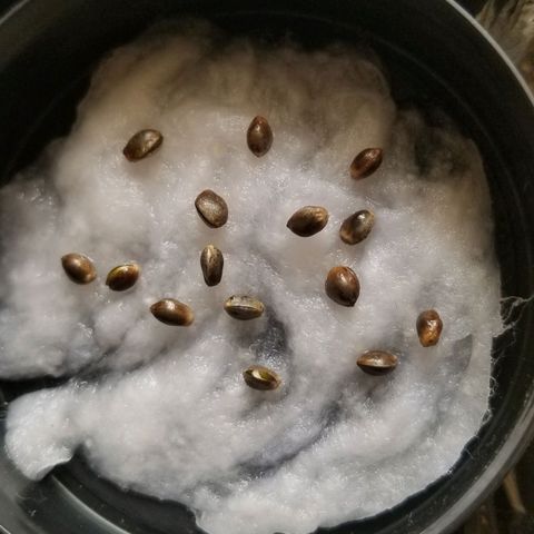 Mix  growlog timeline photo