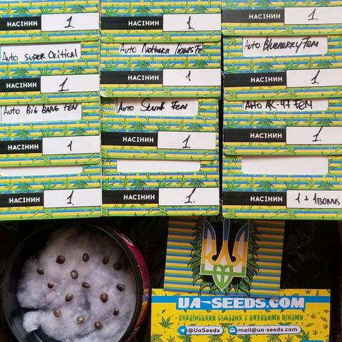 Mix  growlog timeline photo