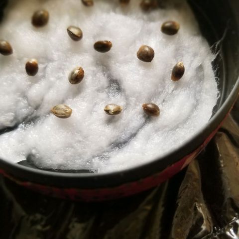 Mix  growlog timeline photo