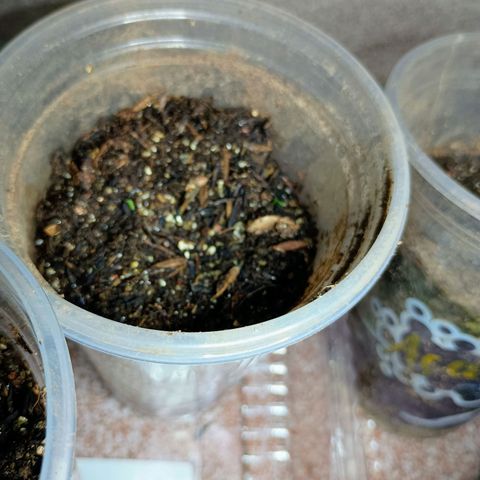Drunken bastard  growlog timeline photo