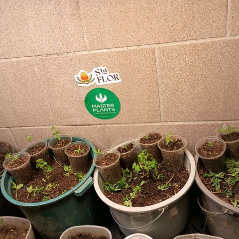Drunken bastard  growlog timeline photo