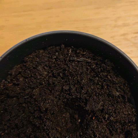 Quick One growlog timeline photo