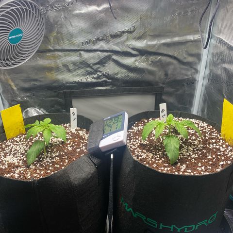 OPxM #1 growlog timeline photo