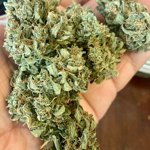 Bruce Banner growlog timeline photo