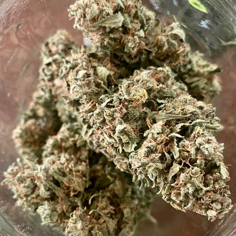 Bruce Banner growlog timeline photo