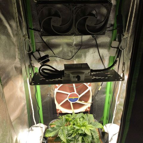 Watermelon growlog photo: 2x Arctic 140mm Lüfter anstatt dem drecks Ventilator installiert 😉 nun ist das Ding auch leise!