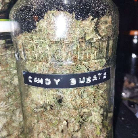 Auto Candy Bubatz XL growlog timeline photo