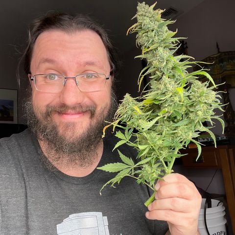 Double Kush Cake growlog timeline photo
