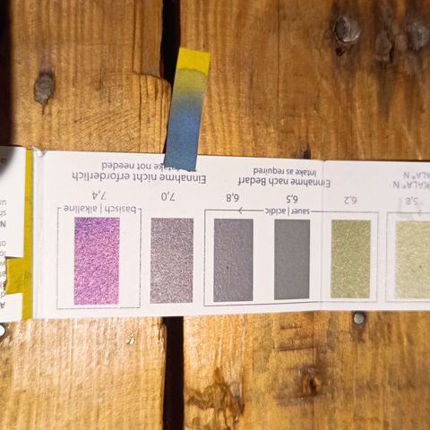 Royal Critical Auto Galaxy J. (3.) growlog photo: Ph Messgerät und Streifen zeigen unterschiedliche Werte an. Gehe aber eher nach den Teststreifen und habe jeder Pflanze nach dem Biegen 200ml Wasser mit PH-Down gegeben. Weiter beobachten 