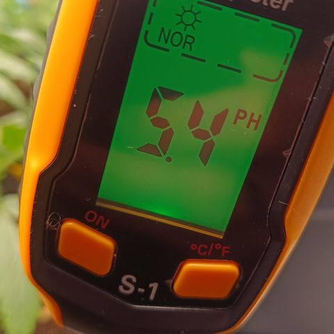 Royal Critical Auto Galaxy J. (3.) growlog photo: Ph Messgerät und Streifen zeigen unterschiedliche Werte an. Gehe aber eher nach den Teststreifen und habe jeder Pflanze nach dem Biegen 200ml Wasser mit PH-Down gegeben. Weiter beobachten 