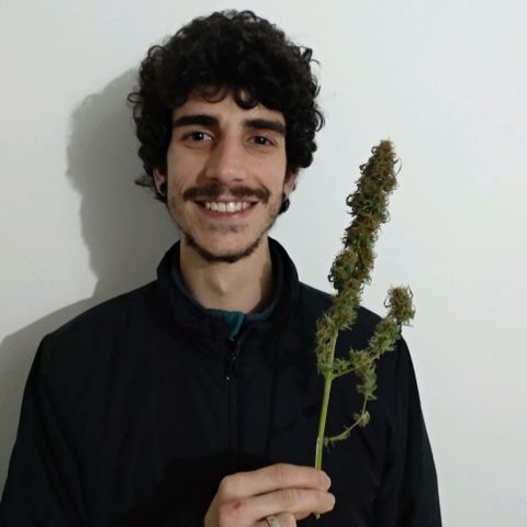 Radha growlog timeline photo