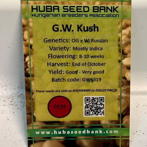 Great White Kush A growlog timeline photo