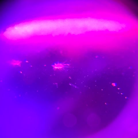Blue Cookies growlog timeline photo