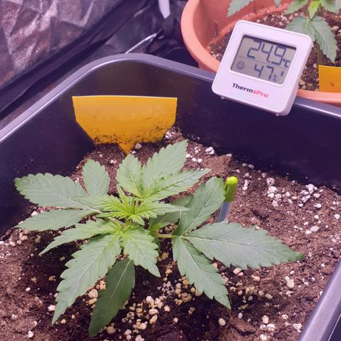 Jacky growlog timeline photo