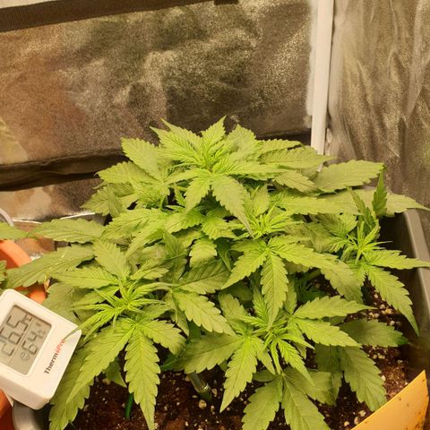 Jacky growlog timeline photo
