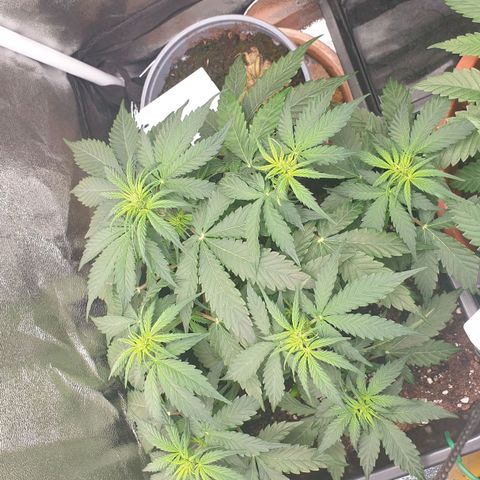 Jacky growlog timeline photo