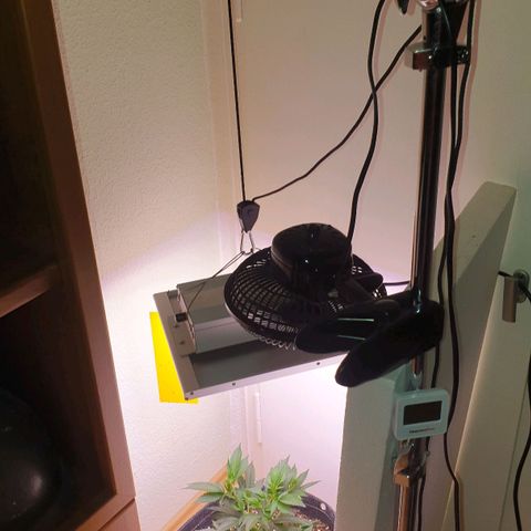 Das Baum projekt  growlog timeline photo