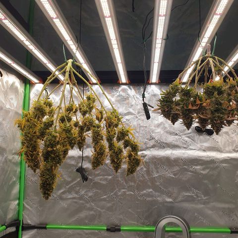 Jacky growlog timeline photo