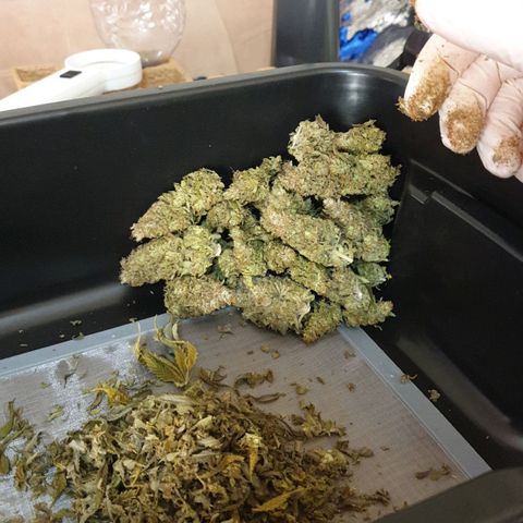 O.K growlog photo: 37 gramm