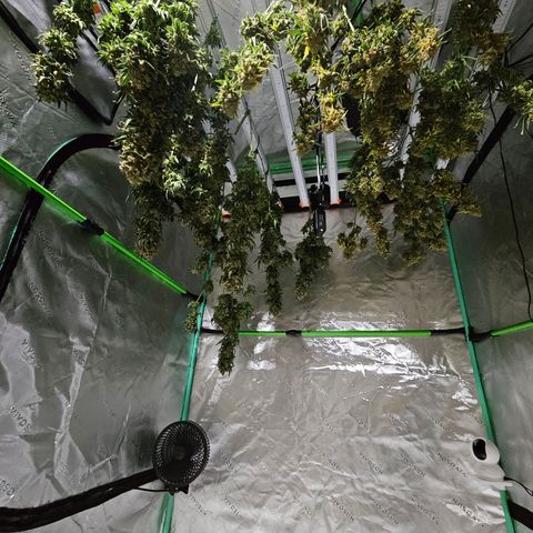 MAC1 1# growlog timeline photo