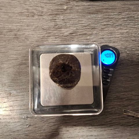 Cherry Poppers #1 growlog timeline photo