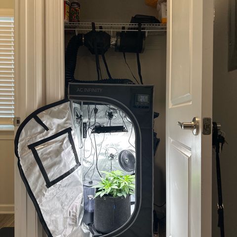 Purple Haze growlog photo: Made a few changes to maximize grow space