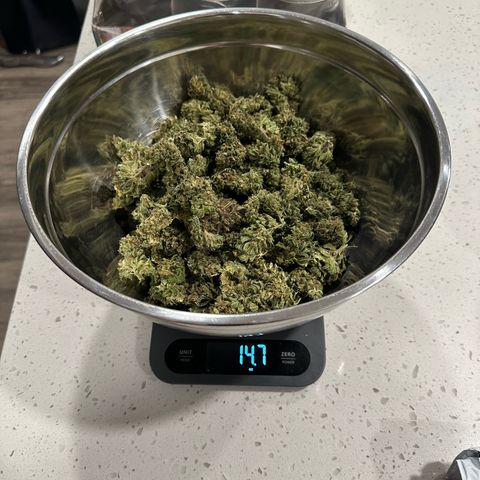 Wedding Cake growlog photo: 2.8oz